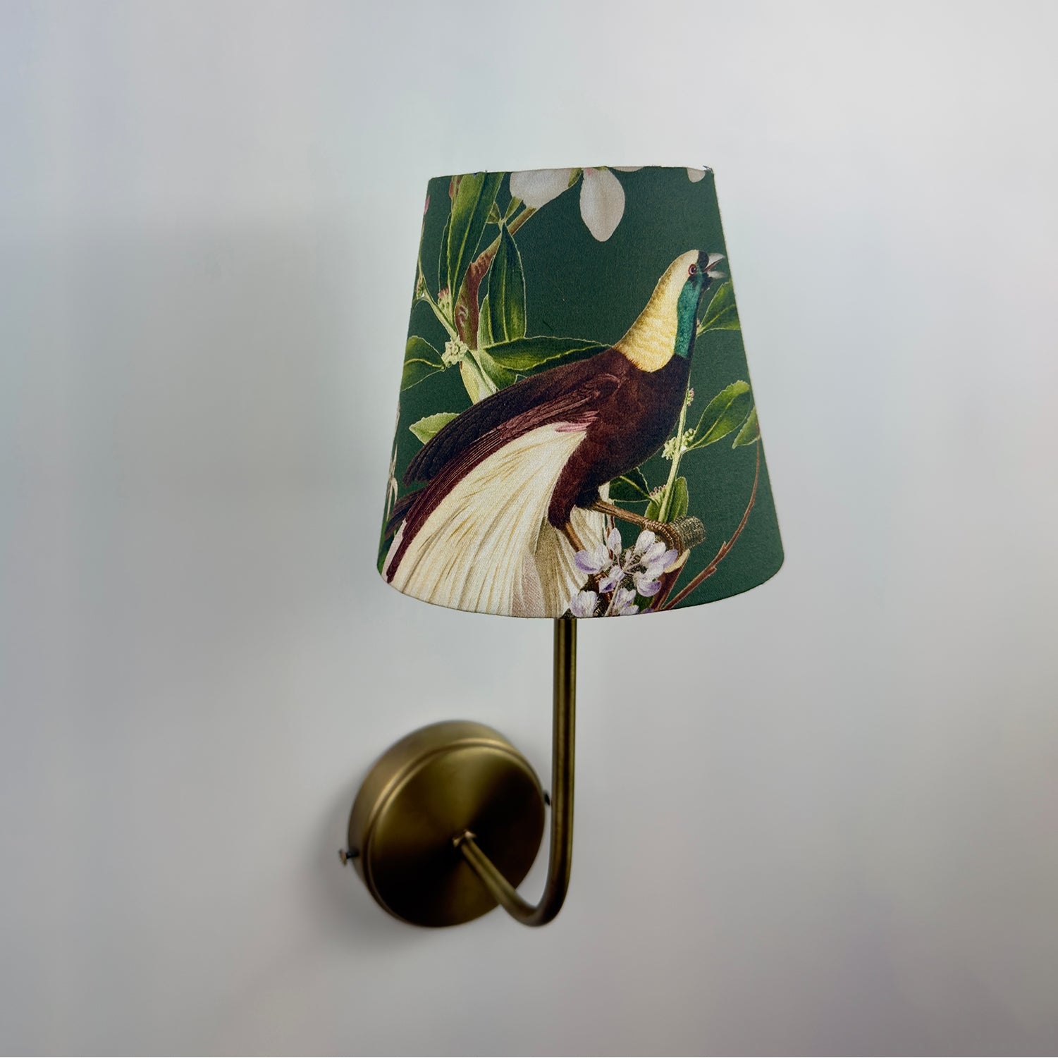 Clara Aplik Peacock