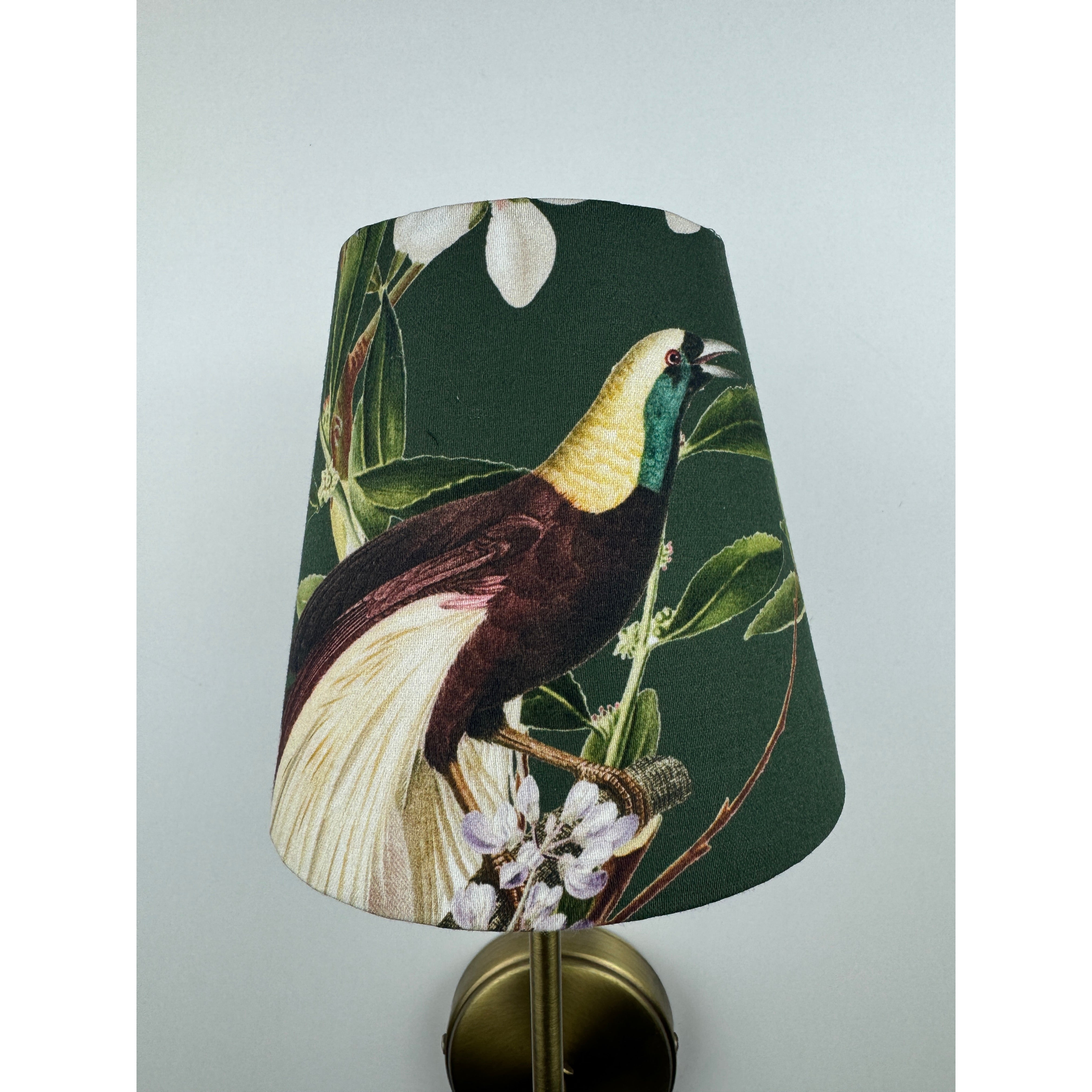 Clara Wall Sconce Peacock