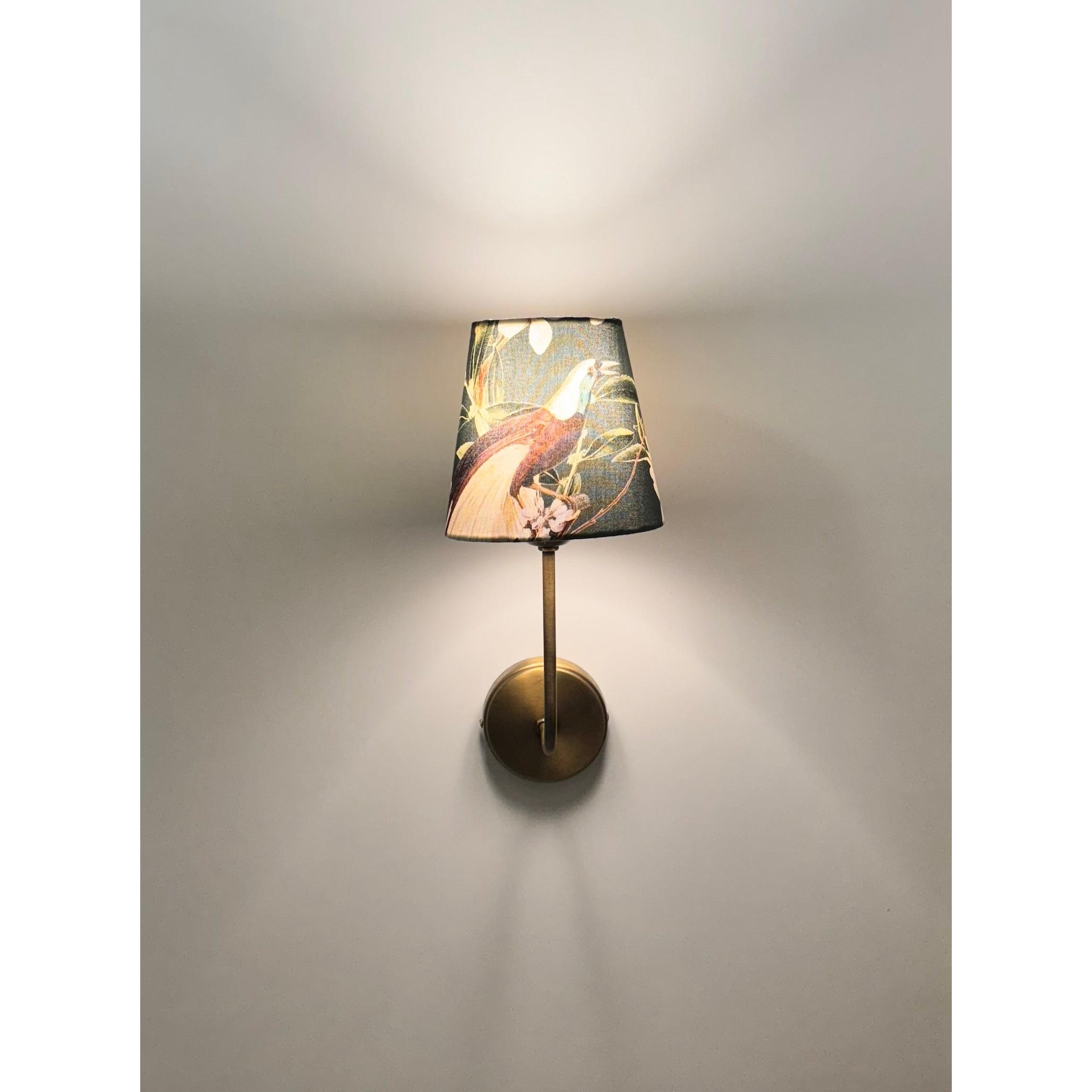 Clara Wall Sconce Peacock